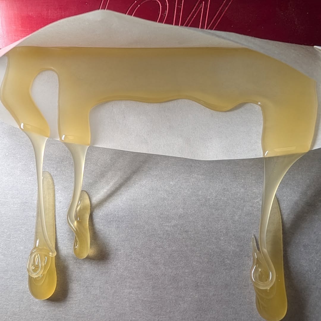 Fresh rosin sheeting off the parchment on the low-temp plates